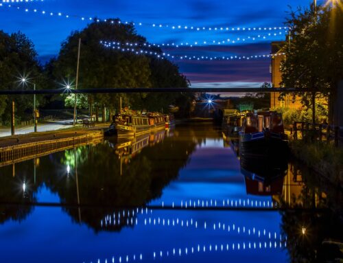 Why Stone’s Canal-Side Homes Are a Hotspot for Rats